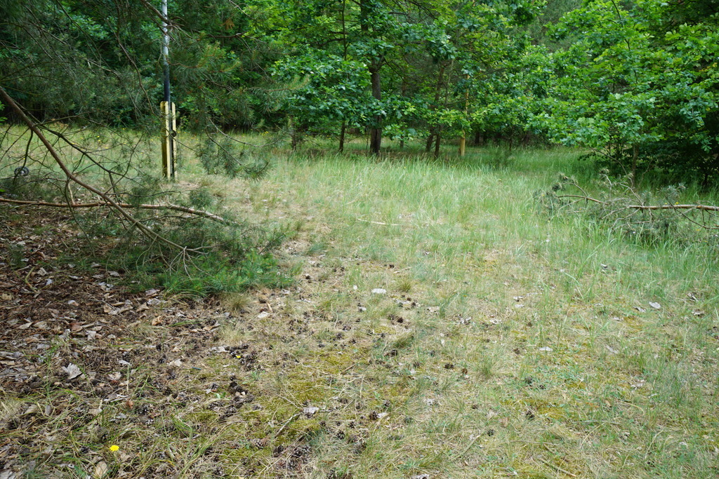Działka 1h 383m2 m2, zabudowana budynkiem  380 m2