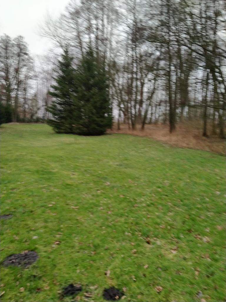 Rzędziny,2041m2,zabuowa jednorodzinna,las,park