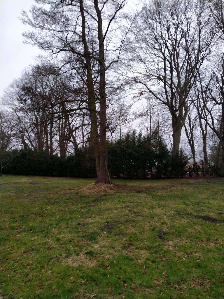 Rzędziny,2041m2,zabuowa jednorodzinna,las,park