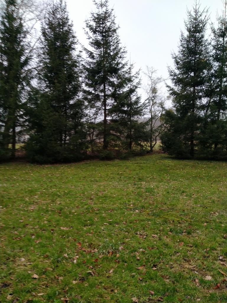 Rzędziny,2041m2,zabuowa jednorodzinna,las,park