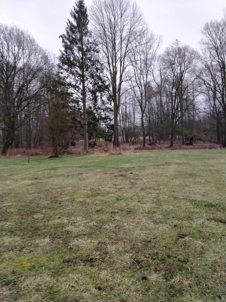 Rzędziny,2041m2,zabuowa jednorodzinna,las,park