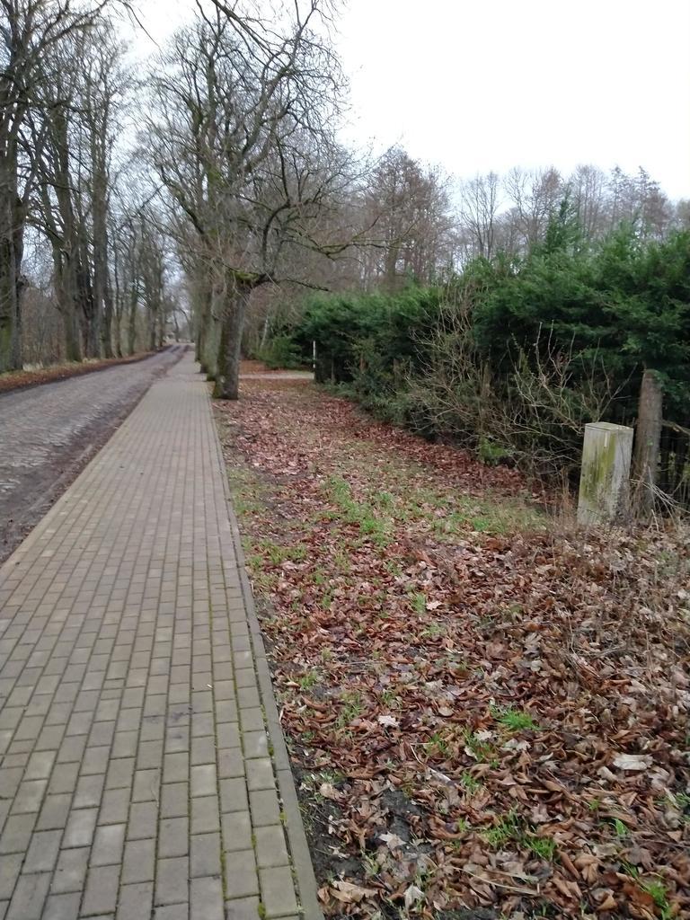 Rzędziny,2041m2,zabuowa jednorodzinna,las,park