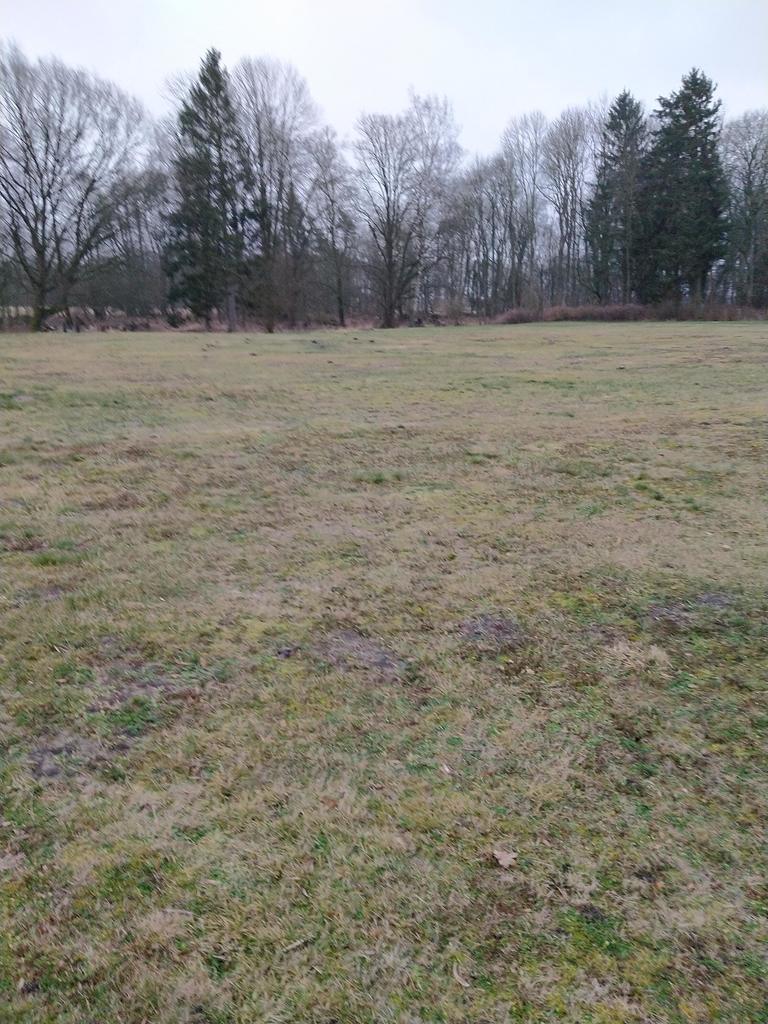 Rzędziny,2041m2,zabuowa jednorodzinna,las,park
