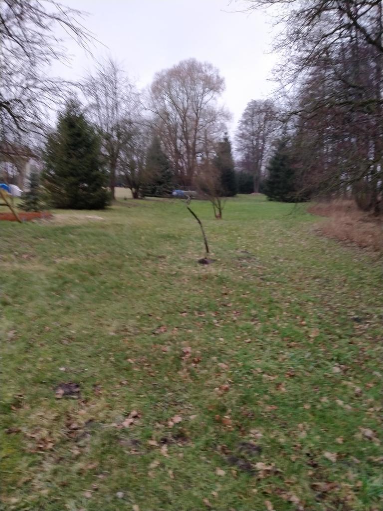 Rzędziny,2041m2,zabuowa jednorodzinna,las,park