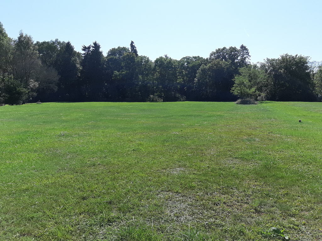 Rzędziny,2001m2,zabud. jednorodzinna,las-park.