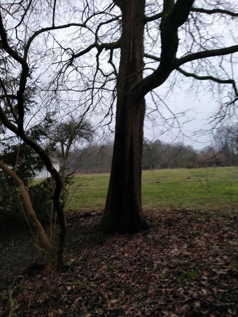 Rzędziny,2001m2,zabud. jednorodzinna,las-park.