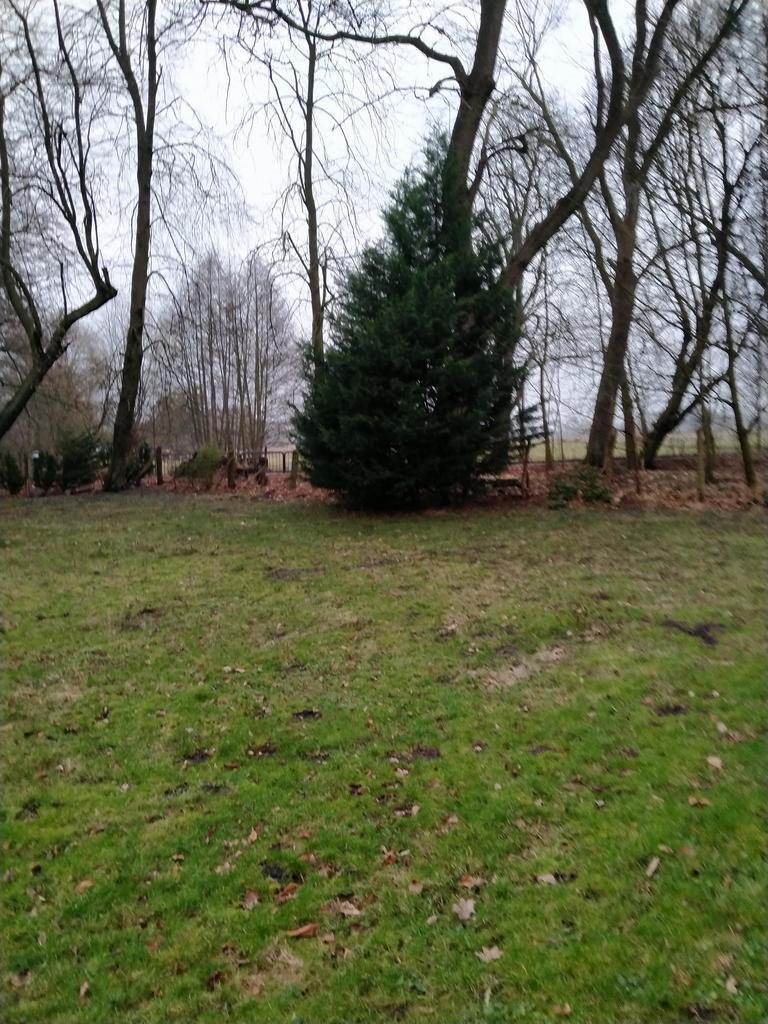 DZIAŁKA SPRZEDAŻ
