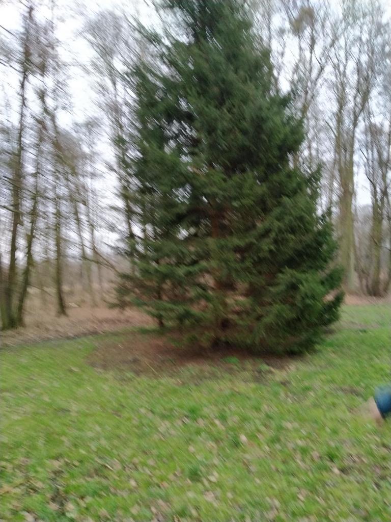 DZIAŁKA SPRZEDAŻ