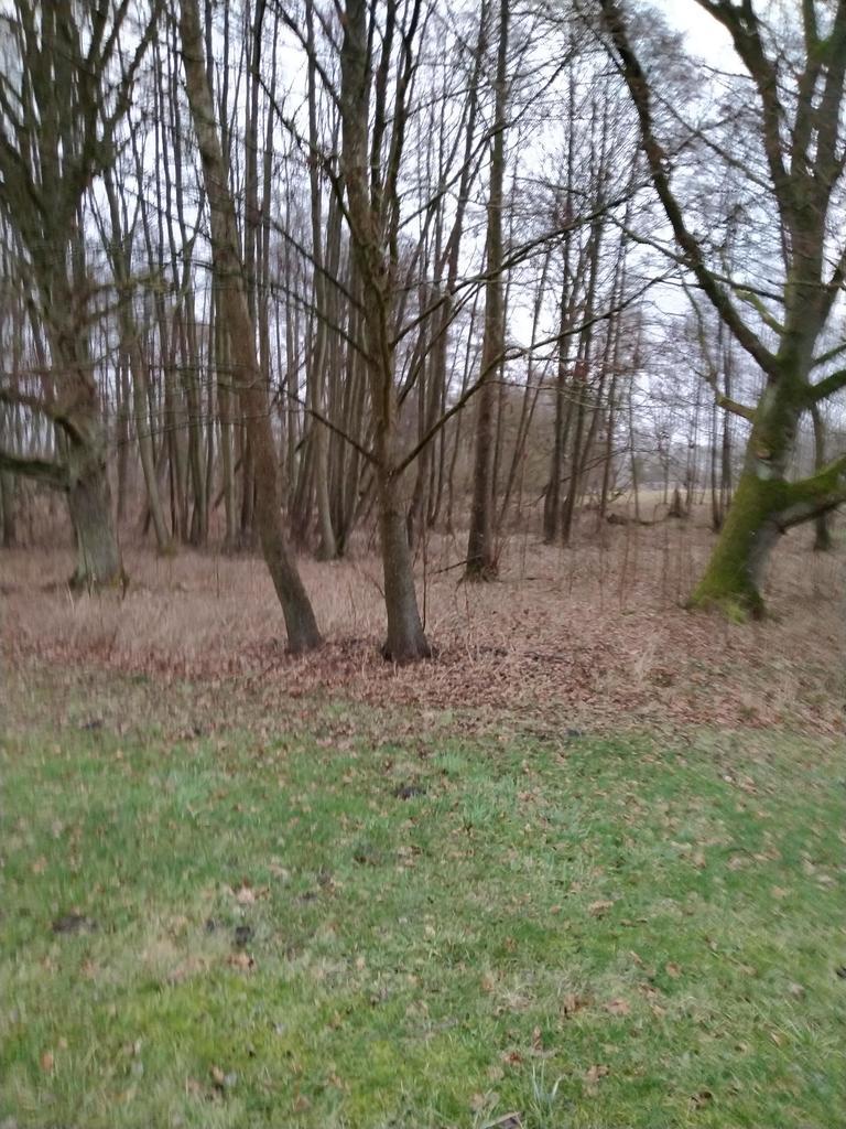 DZIAŁKA SPRZEDAŻ