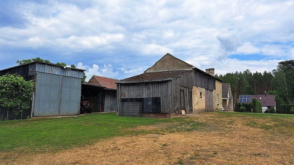 Gospodarstwo, działka 9300m2, Dom 91 m2 + budynki