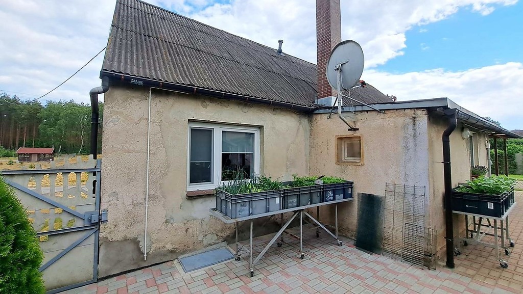 Gospodarstwo, działka 9300m2, Dom 91 m2 + budynki