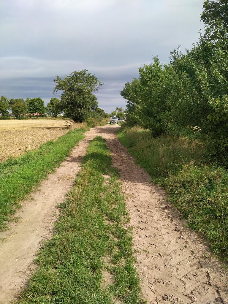 DZIAŁKA PYRZYCE GM. PYRZYCE POW.3001M2.