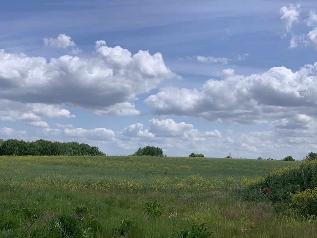 DZIAŁKA ROLNA / STOBNO / 1.22 ha