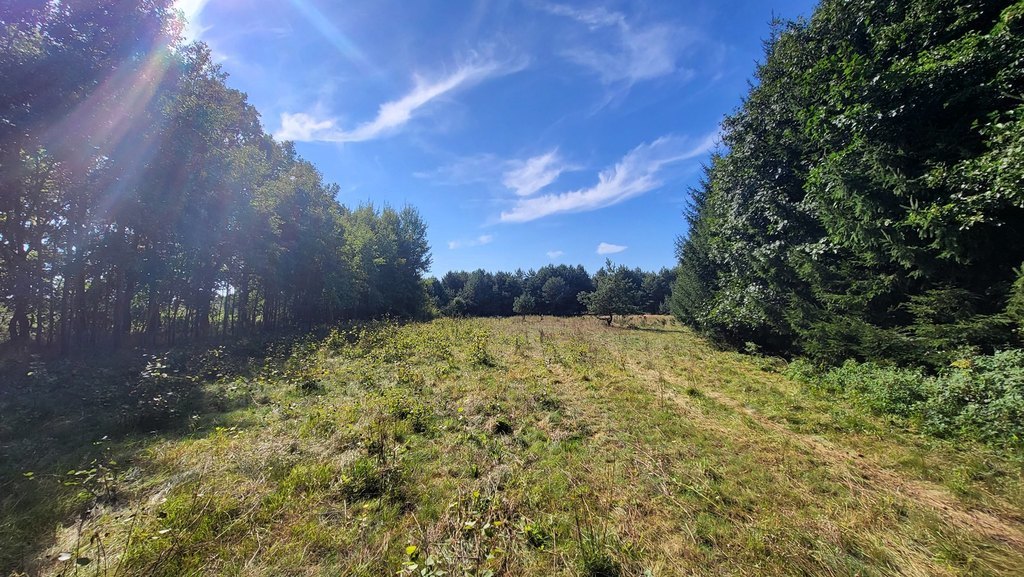 Działka z linią brzegową rzeki, lasem i stawem.