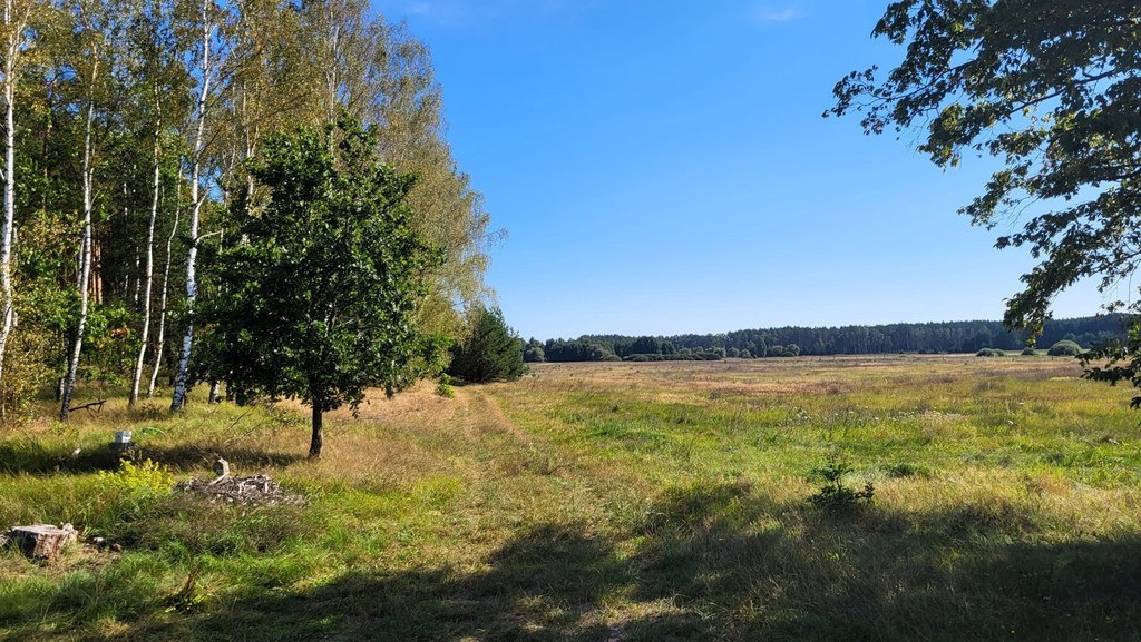 Działka z linią brzegową rzeki, lasem i stawem.