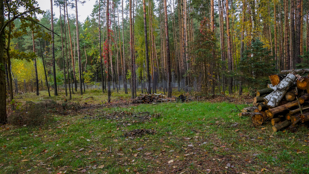 Piękna działka budowlana przy rezerwacie przyrody