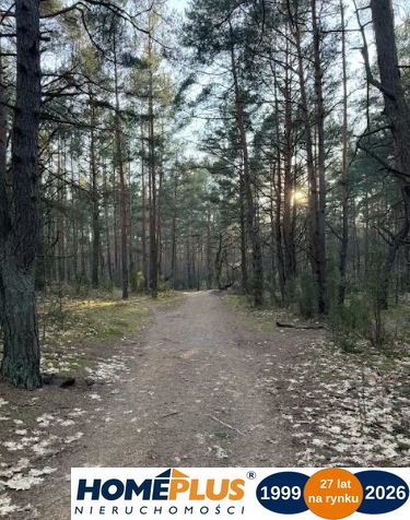 Piękna działka w Dąbrowie Leśnej z pozwoleniem