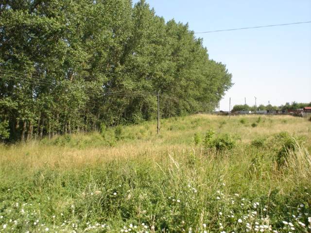 Działka 5266m2,Szczecin, Bukowo.