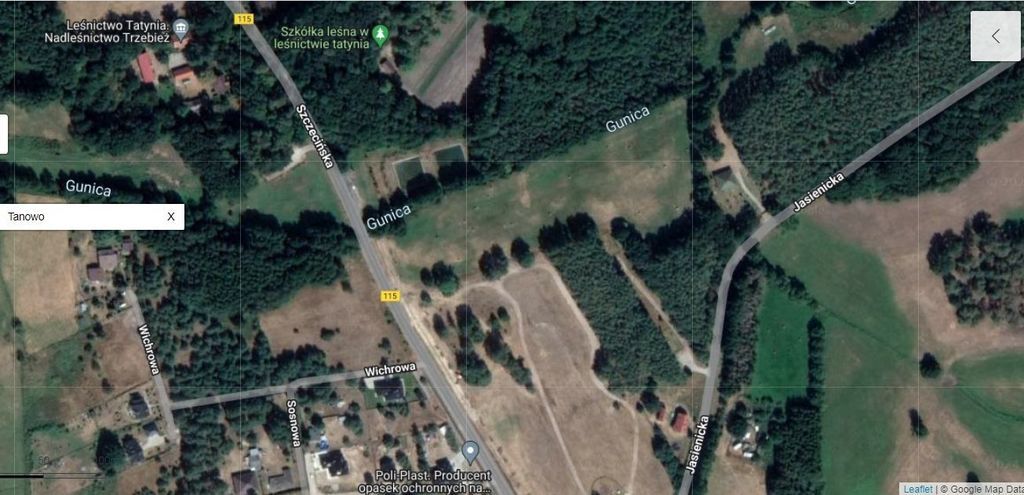 Działka,Tanowo,gm.Police,3166m2,plan-usługi.
