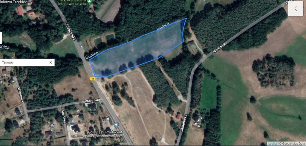 Działka,Tanowo,gm.Police,3166m2,plan-usługi.
