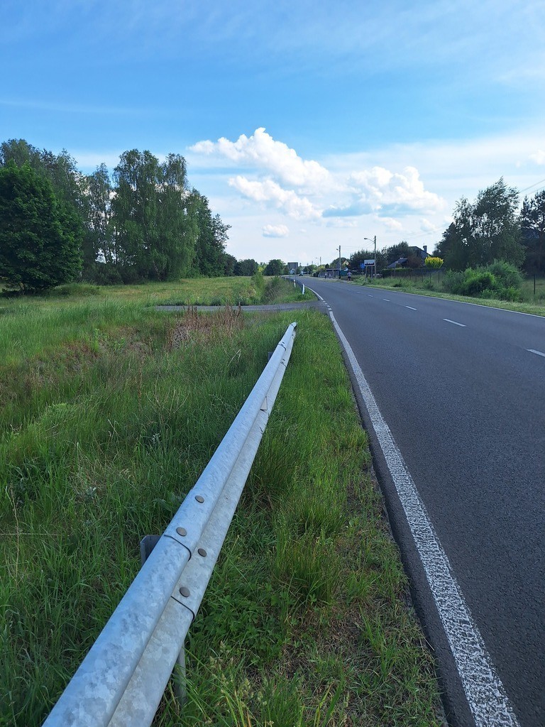 Działka,Tanowo,gm.Police,3166m2,plan-usługi.