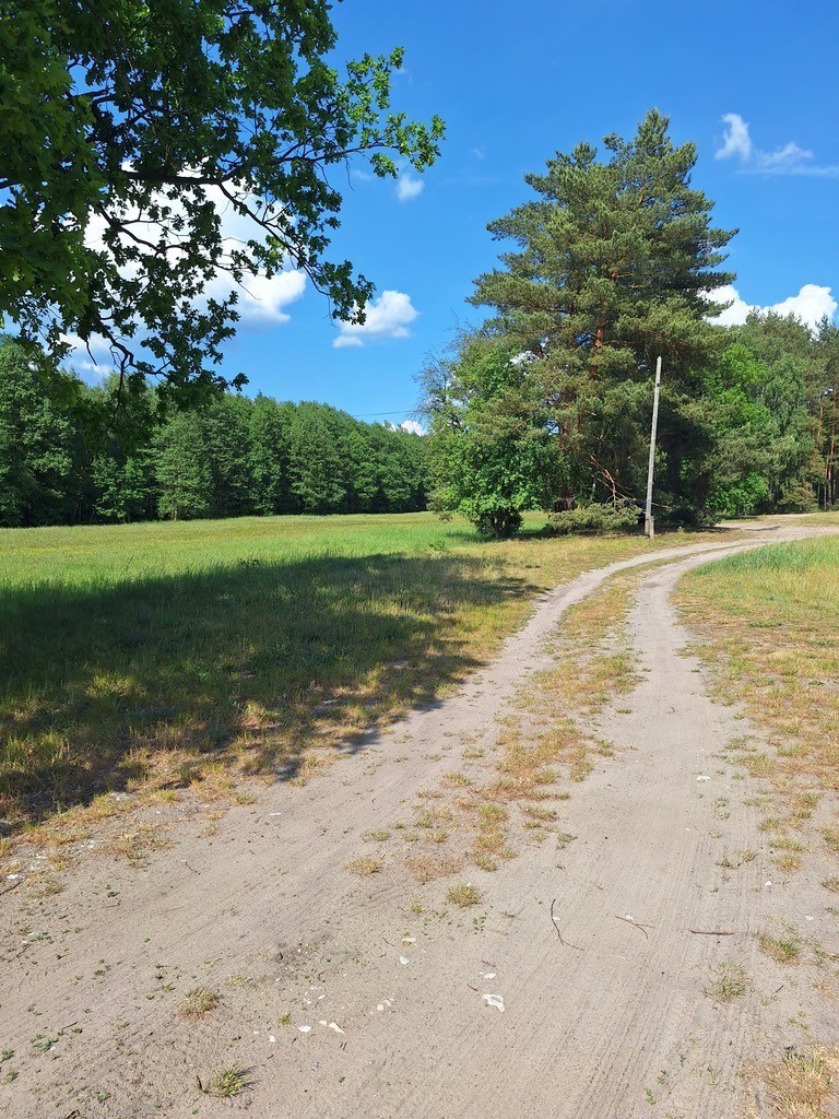 Działka,Tanowo,gm.Police,3166m2,plan-usługi.