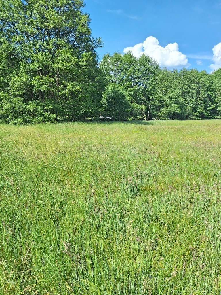 Działka,Tanowo,gm.Police,3166m2,plan-usługi.