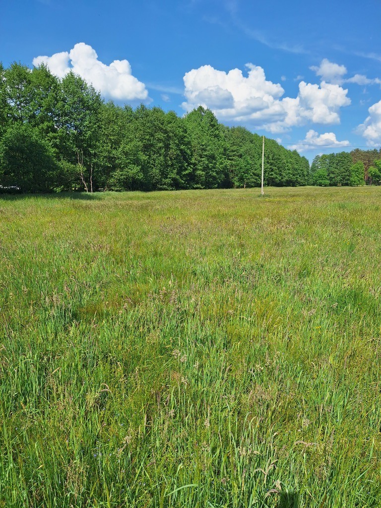 Działka Tanowo,0.3144ha,plan zagospod.-rolna.