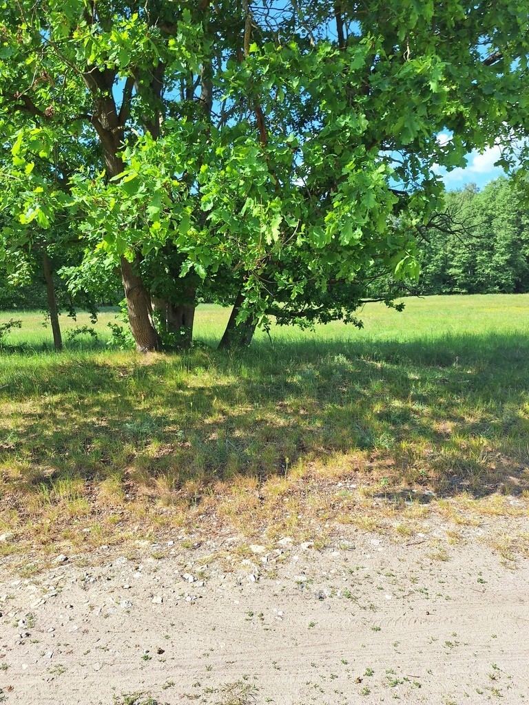 Działka Tanowo,0.3362ha,plan miejsc.-rolna.