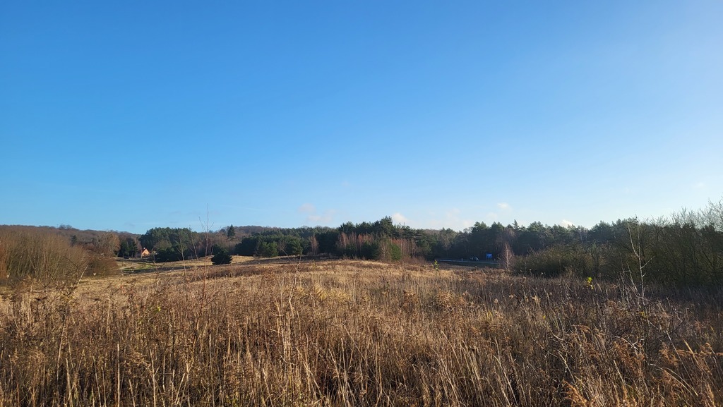 DZIAŁKA pod OSIEDLE DOMÓW JEDNORODZINNYCH